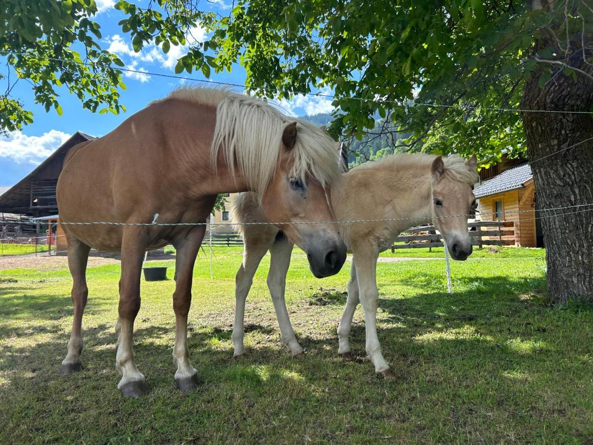 Apartament Bergzauber Obervellach Im Moelltal Zewnętrze zdjęcie