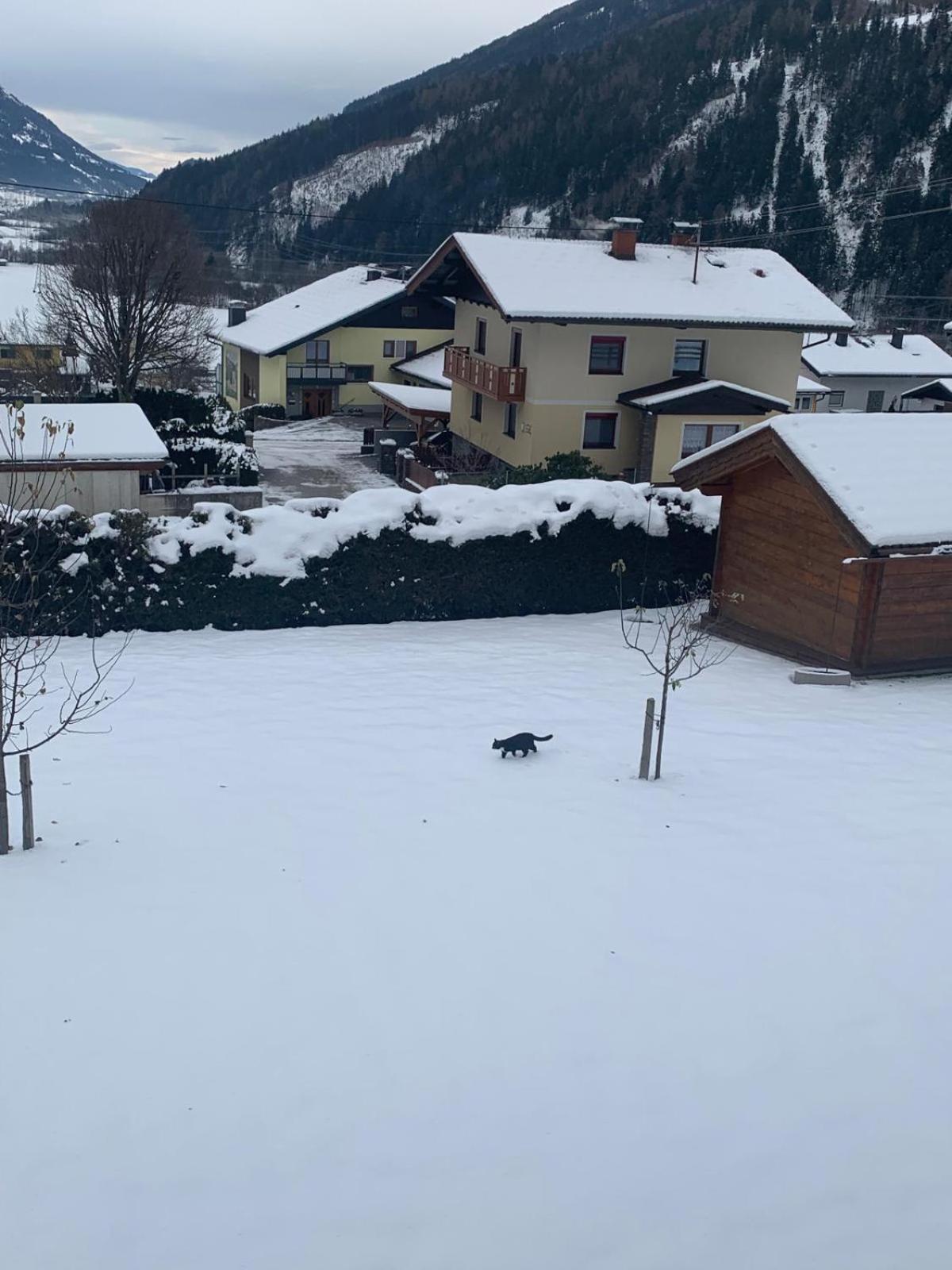 Panorama Apartments Semslach Obervellach Zewnętrze zdjęcie