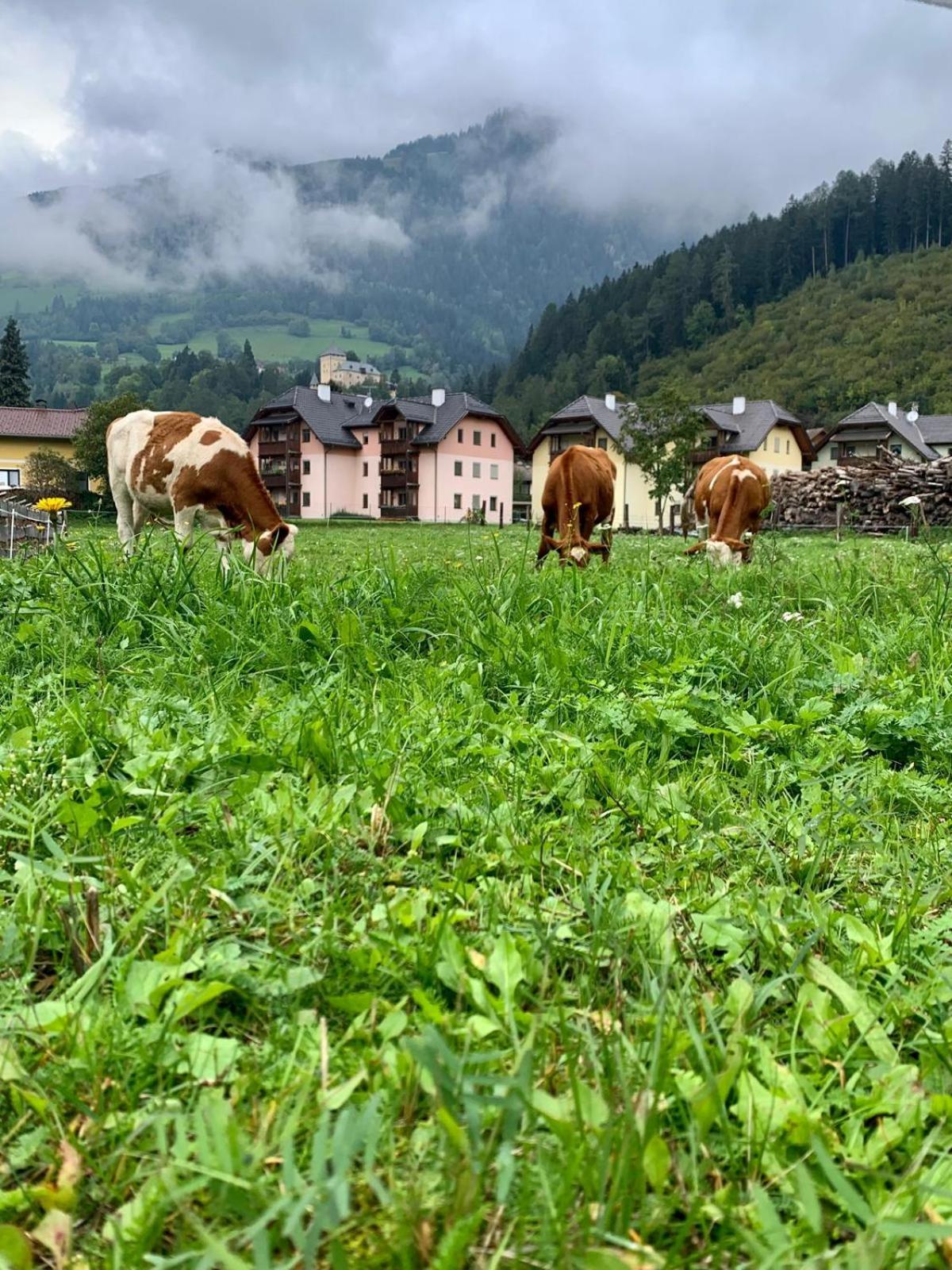 Panorama Apartments Semslach Obervellach Zewnętrze zdjęcie